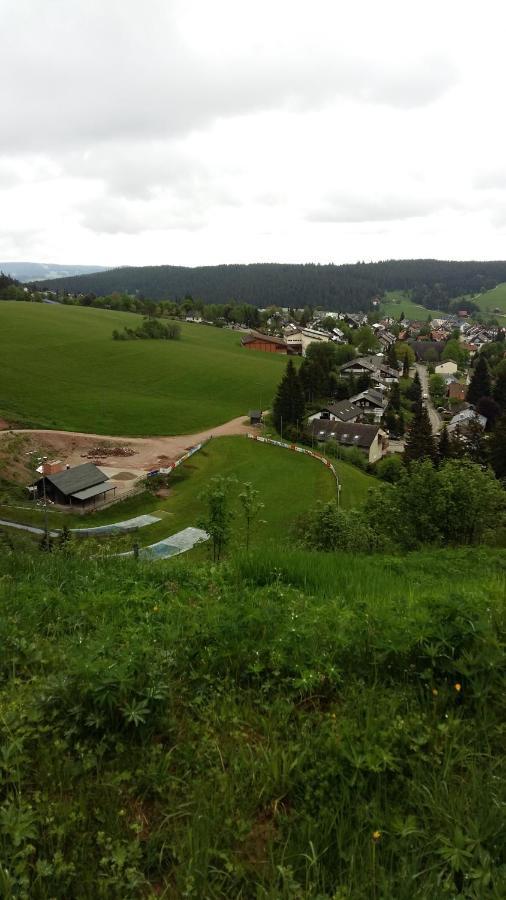 Schwarzwald Geht Immer Fewo 60 Qm Mit Grossem Suedbalkon, Wlan Und Magenta Tv Шёнвальд Экстерьер фото