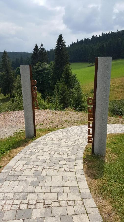 Schwarzwald Geht Immer Fewo 60 Qm Mit Grossem Suedbalkon, Wlan Und Magenta Tv Шёнвальд Экстерьер фото