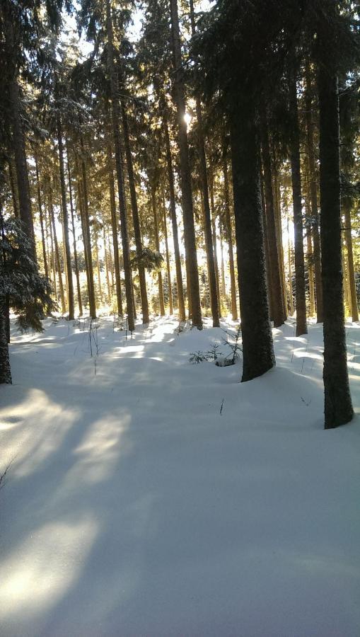Schwarzwald Geht Immer Fewo 60 Qm Mit Grossem Suedbalkon, Wlan Und Magenta Tv Шёнвальд Экстерьер фото